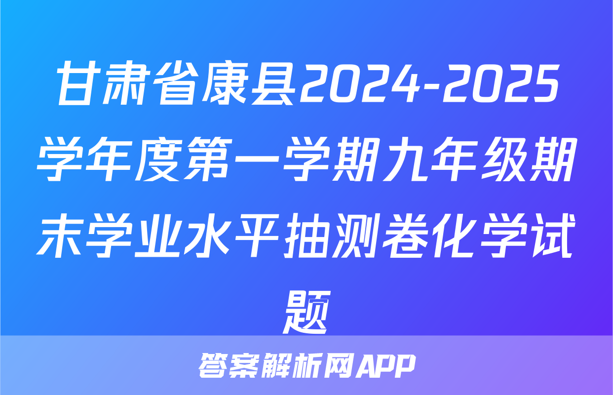 甘肃省康县2024-2025学年度第一学期九年级期末学业水平抽测卷化学试题