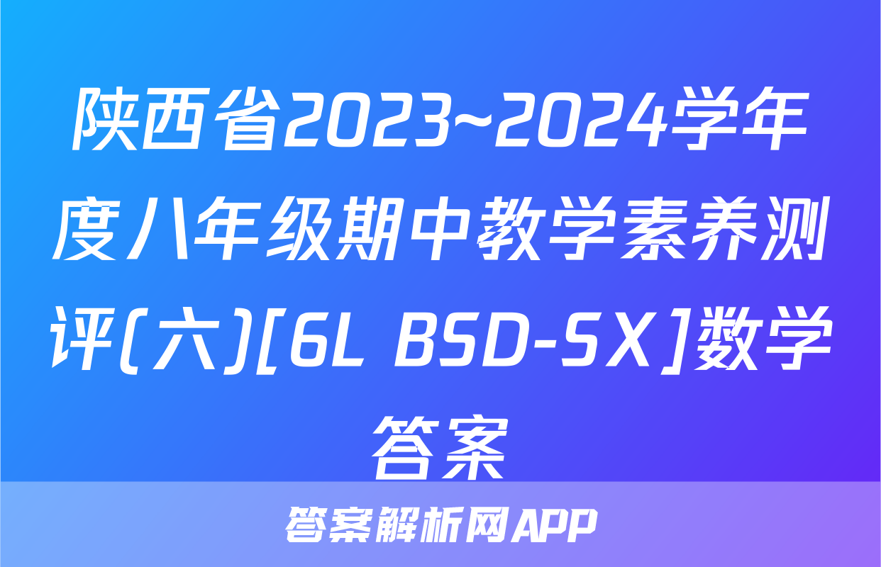 陕西省2023~2024学年度八年级期中教学素养测评(六)[6L BSD-SX]数学答案