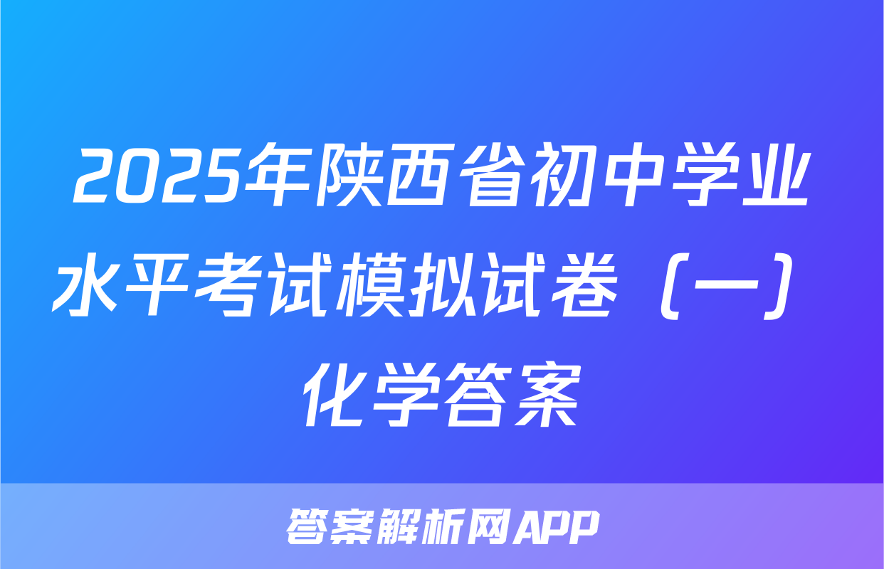 2025年陕西省初中学业水平考试模拟试卷（一）化学答案