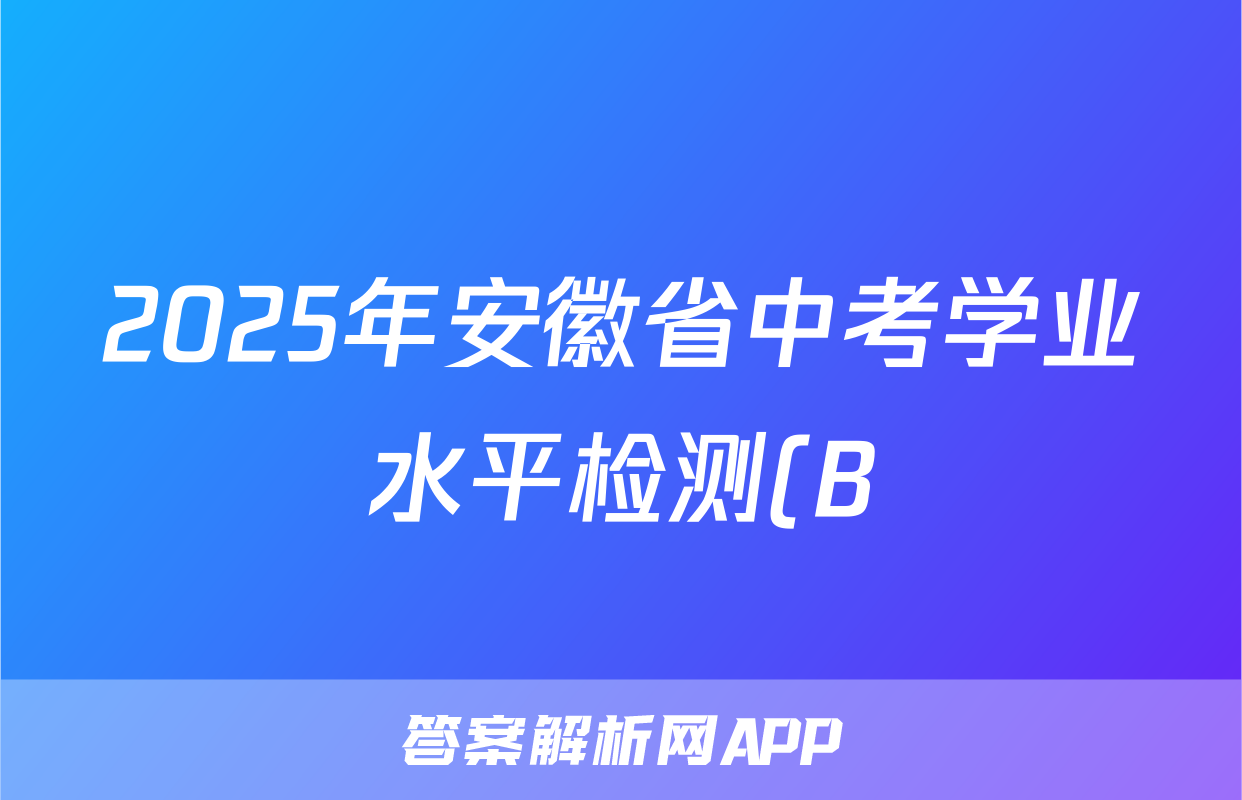 2025年安徽省中考学业水平检测(B)语文试题
