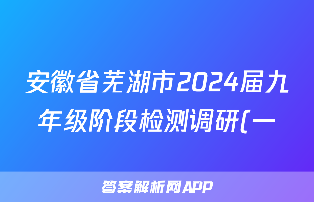 安徽省芜湖市2024届九年级阶段检测调研(一)x物理试卷答案