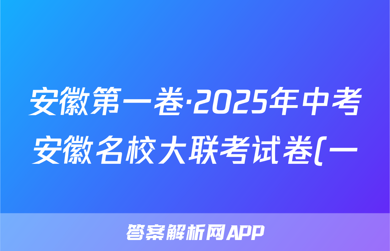 安徽第一卷·2025年中考安徽名校大联考试卷(一)化学试题