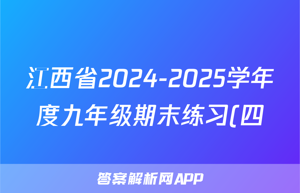 江西省2024-2025学年度九年级期末练习(四)化学试题