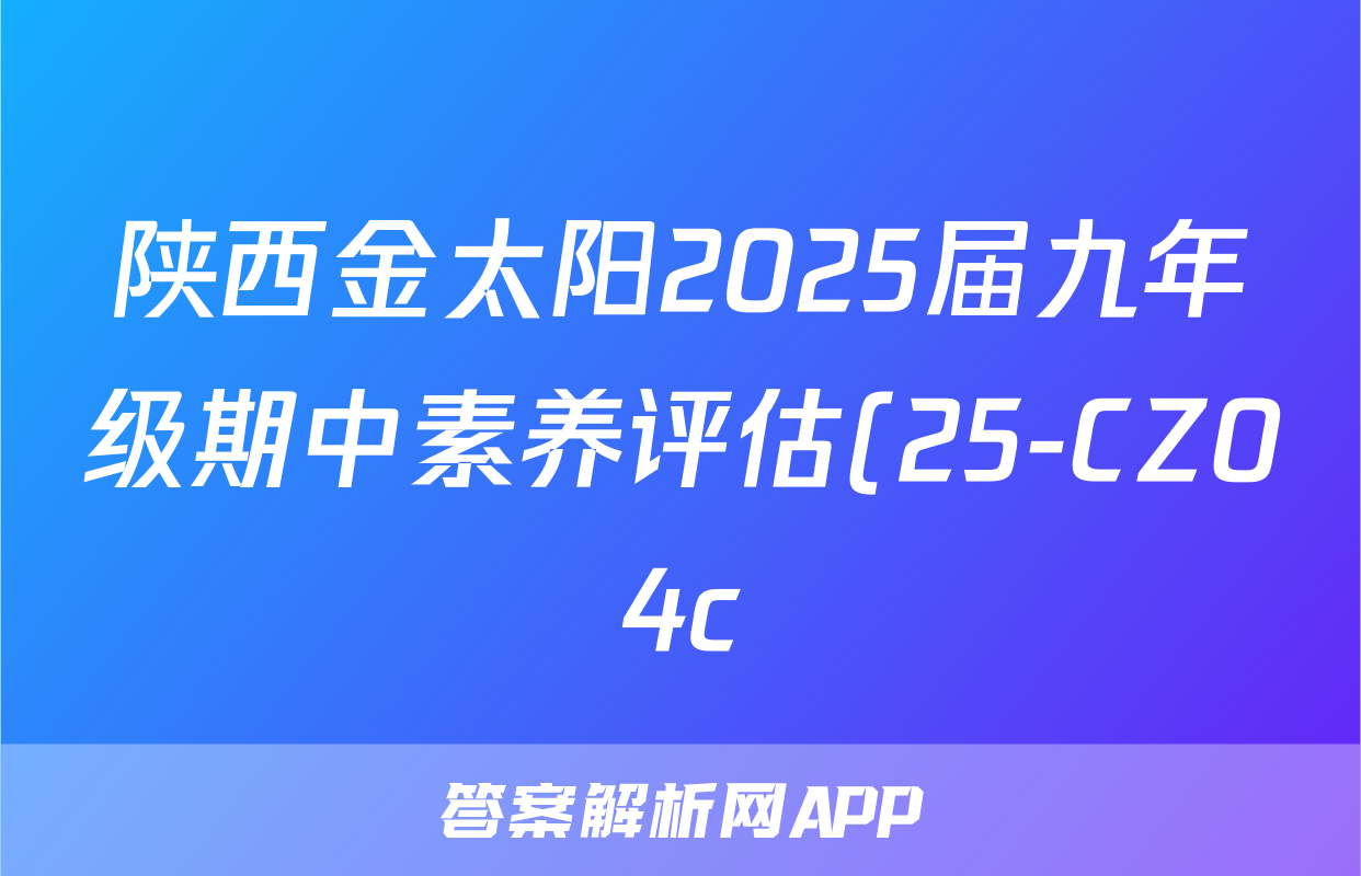 陕西金太阳2025届九年级期中素养评估(25-CZ04c)历史试题